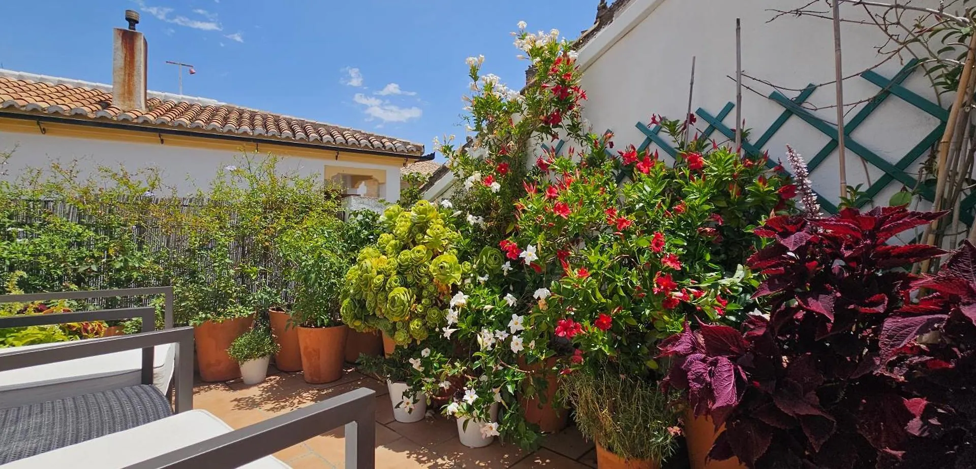 Apartamentos Los Descalzos Angel With Private Terrace Free Parking Ronda