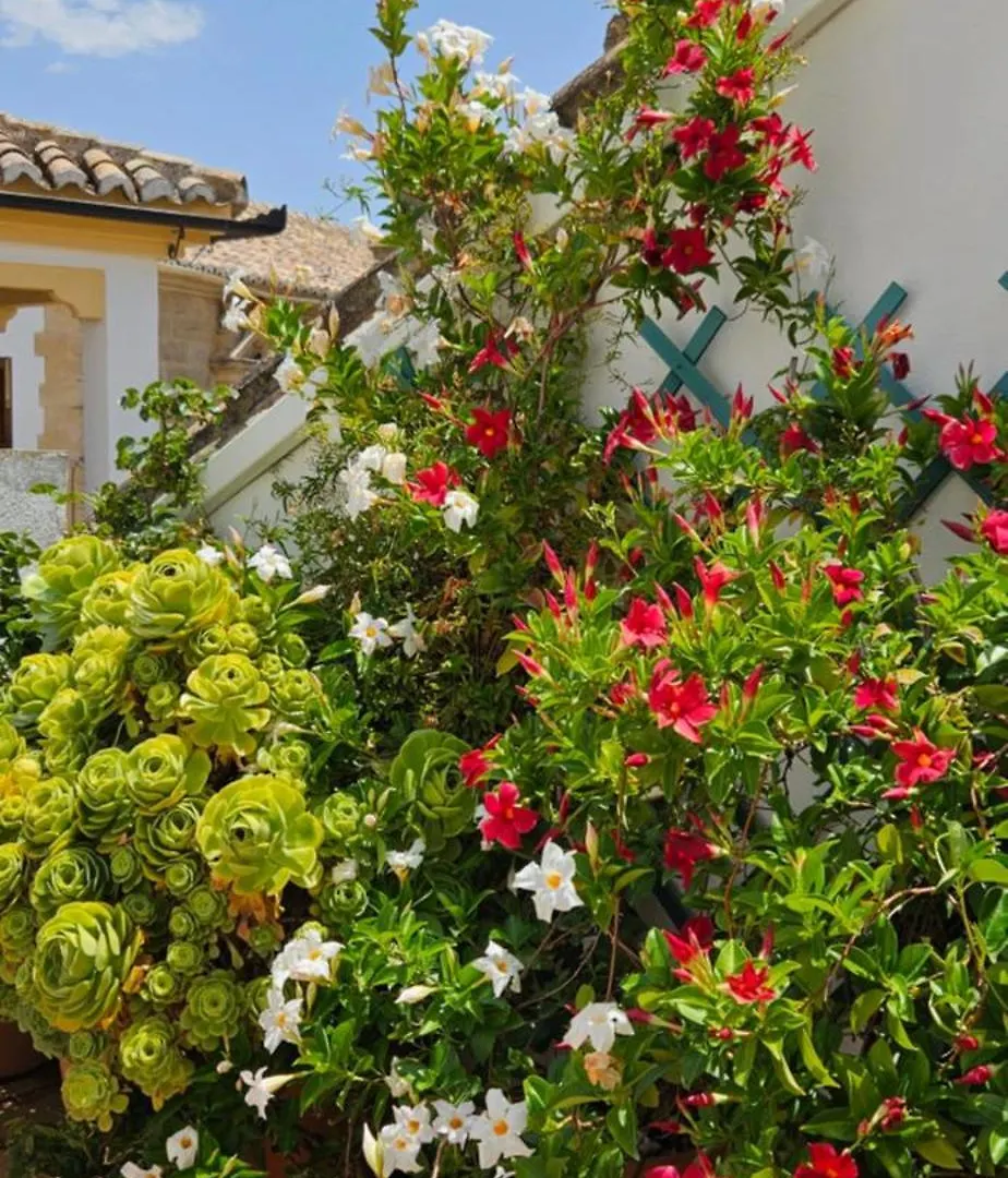 Apartamentos Los Descalzos Angel With Private Terrace Free Parking Ronda 0*,